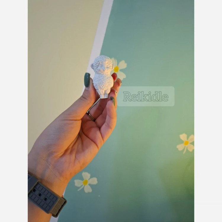 قالب ببعی با ادب قالب سیلیکونی ببعی مناسب عید قربان