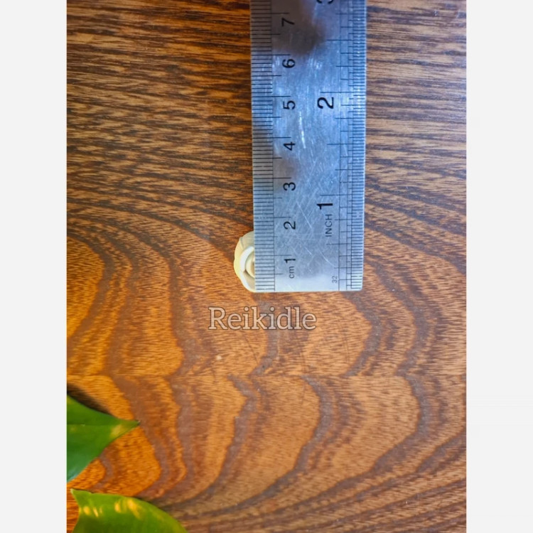 قالب غنچه لاله ریز 2 سانتی قالب سیلیکونی غنچه لاله