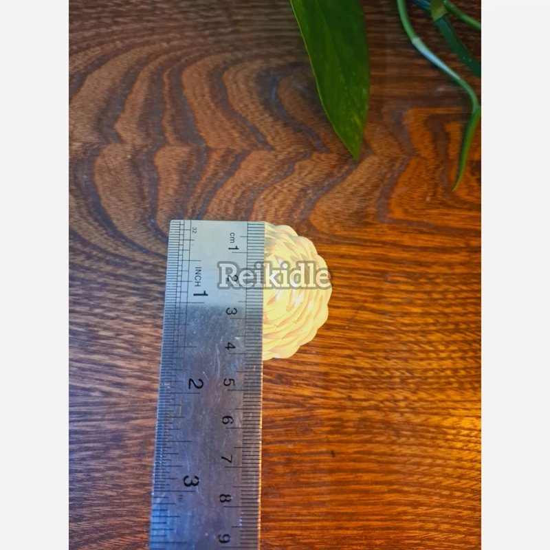 قالب میوه کاج قالب سیلیکونی میوه کاج