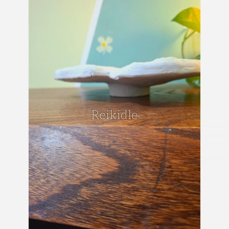 قالب دیس دفرمه مرجان قالب سیلیکونی دیس دفرمه مناسب میوه خوری