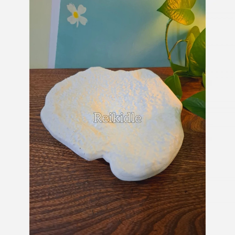 قالب دیس دفرمه مرجان قالب سیلیکونی دیس دفرمه مناسب میوه خوری