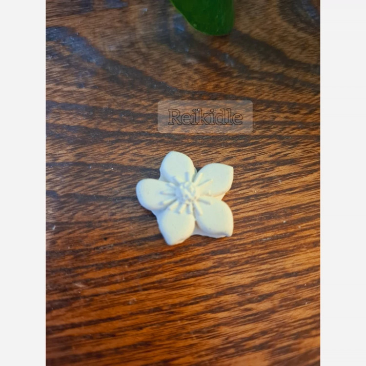 قالب گل چند پر ست دو عددی قالب سیلیکونی گل چند پر