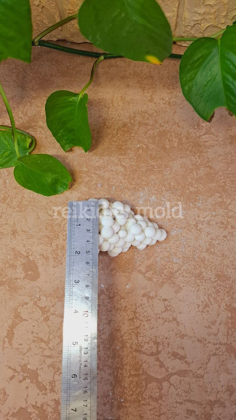 قالب سیلیکونی انگور بزرگ قالب شاخه انگور بزرگ