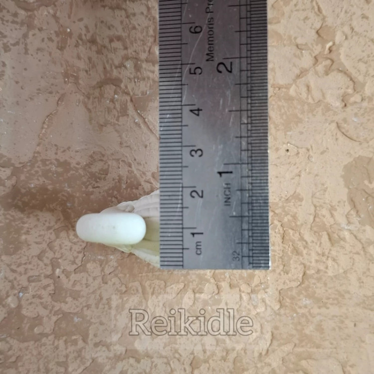 قالب سیلیکونی قو سایز کوچک قالب قو سایز کوچک