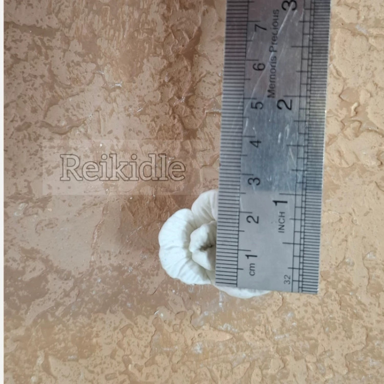 قالب سیلیکونی برگ ست سه عددی قالب برگ