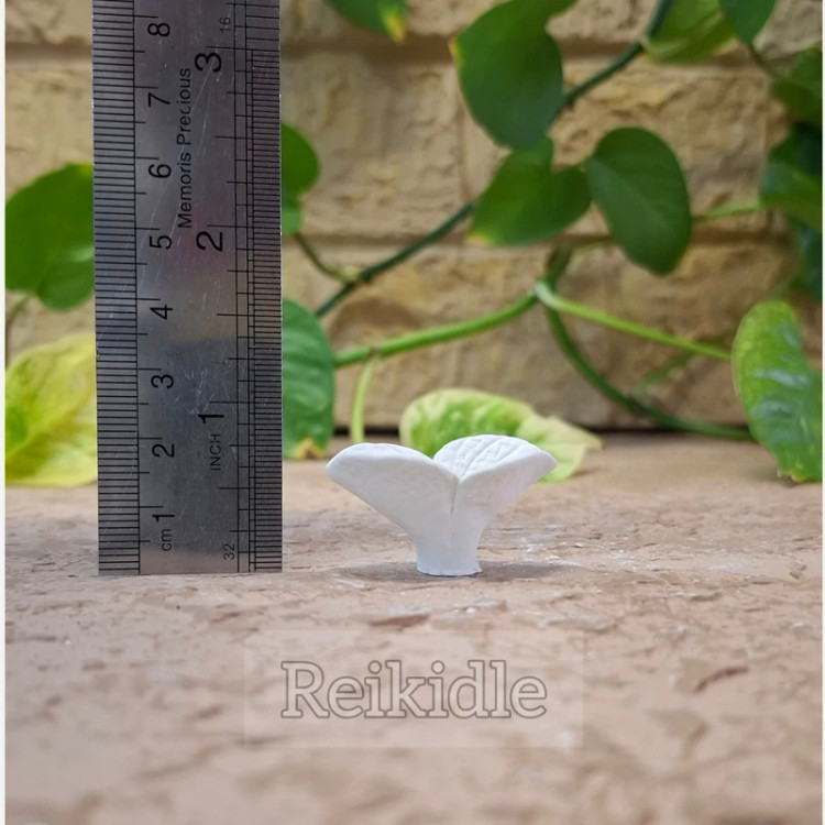 قالب سیلیکونی برگ ست سه عددی قالب برگ