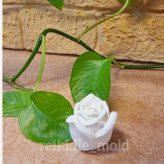 قالب سیلیکونی غنچه گل رز قالب غنچه رز