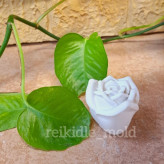 قالب سیلیکونی غنچه گل رز قالب غنچه رز