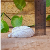 قالب سیلیکونی اسب دریایی پشت تخت نماد سال کد 1 قالب اسب دریایی