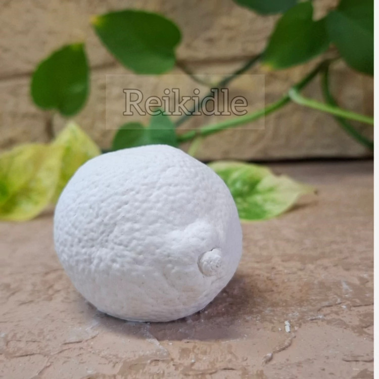 قالب سیلیکونی لیمو بزرگ قالب لیمو بزرگ