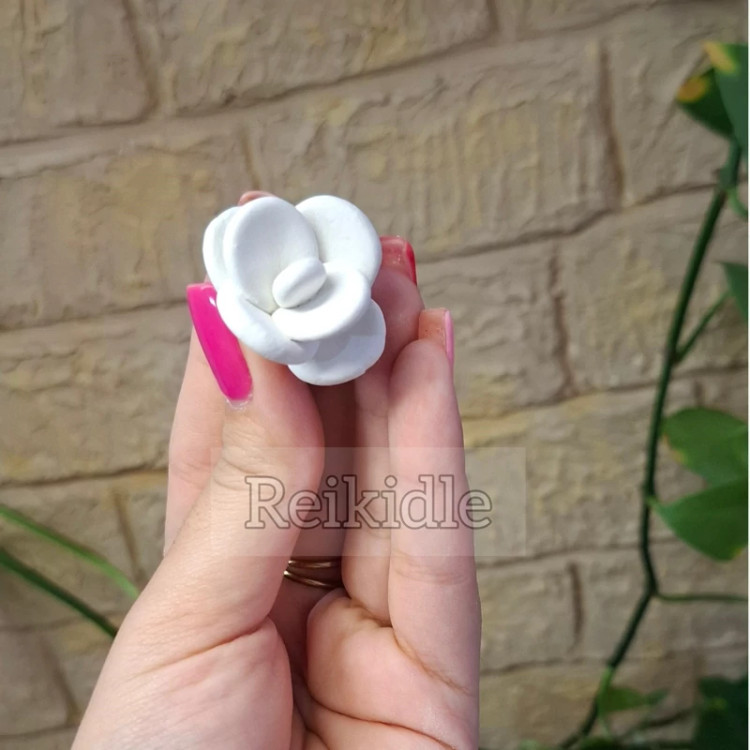 قالب سیلیکونی کاکتوس ریز قالب کاکتوس ریز