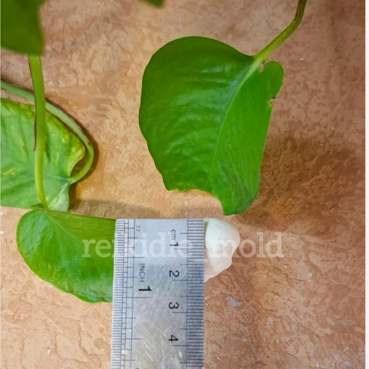 قالب سیلیکونی تدی شال گردنی قالب تدی شال گردنی
