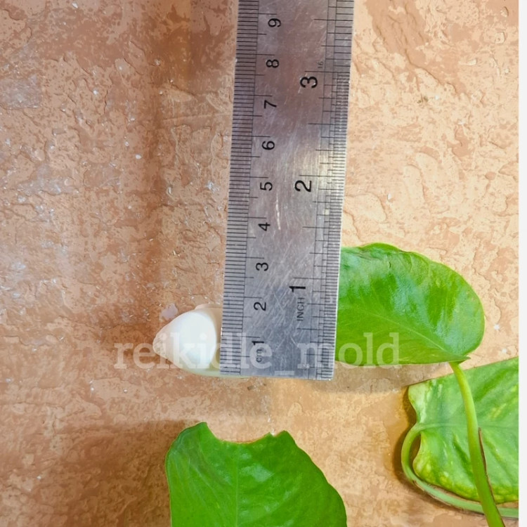 قالب سیلیکونی قلب قو قالب قلب قو
