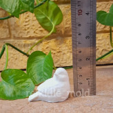 قالب سیلیکونی مرغ آمین قالب سیلیکونی مرغ آمین یا کبوتر