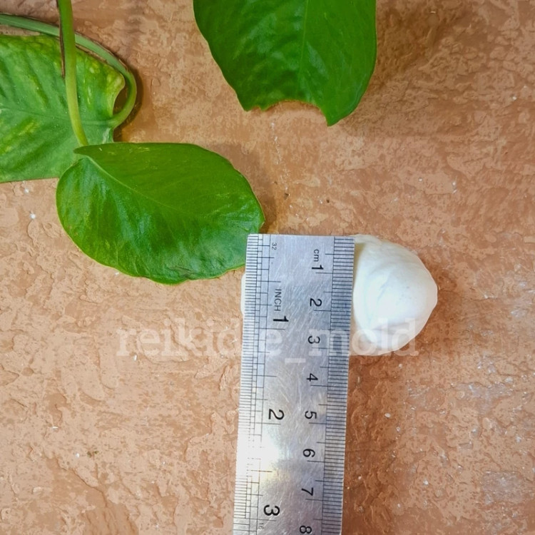 قالب سیلیکونی مرغ آمین قالب سیلیکونی مرغ آمین یا کبوتر