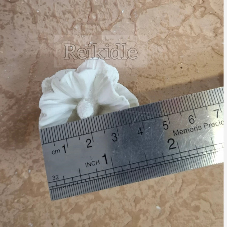 قالب سیلیکونی گل ختمی(ست 4 تکه)قالب گل ختمی