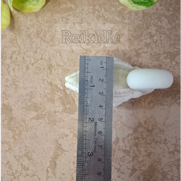 قالب سیلیکونی قو سایز بزرگ قالب قو سایز بزرگ