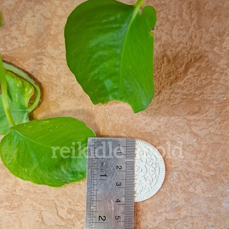 قالب سیلیکونی بیسکوئیت اورئو 3 عددی قالب بیسکوئیت اورئو
