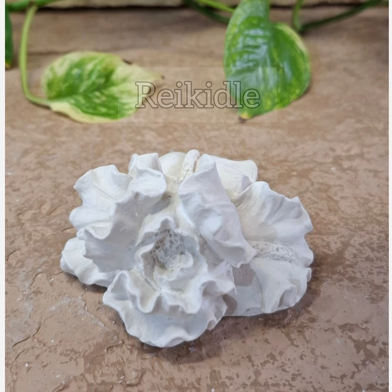قالب سیلیکونی گل ژورنالی قالب گل ژورنالی