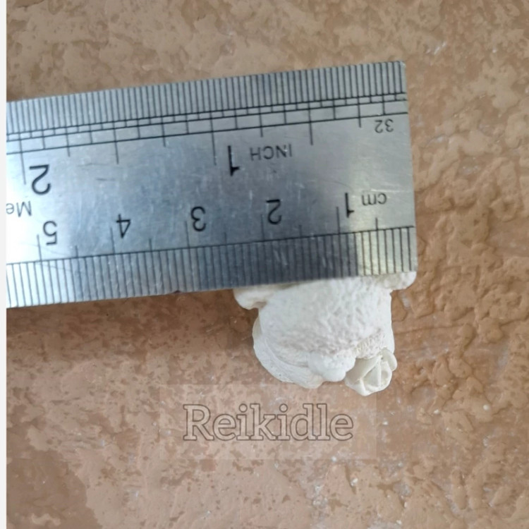 قالب سیلیکونی تدی گلدار پشت تخت کوچک قالب خرس گلدار