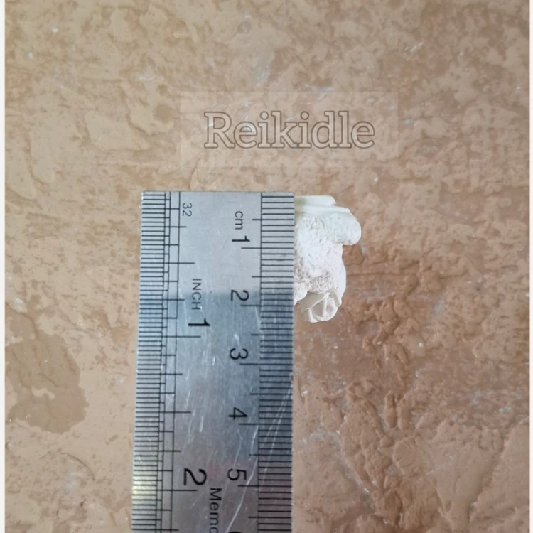 قالب سیلیکونی تدی گلدار پشت تخت کوچک قالب خرس گلدار