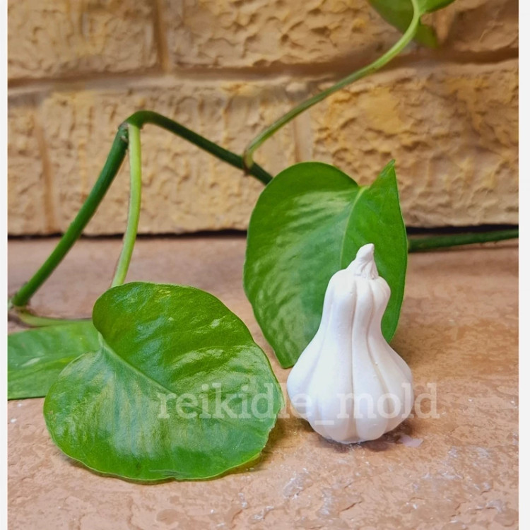 قالب سیلیکونی کدو فانتزی کوچک باریک قالب کدو فانتزی کوچک