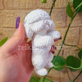 قالب سیلیکونی سگ پودل ایستاده قالب سگ پودل