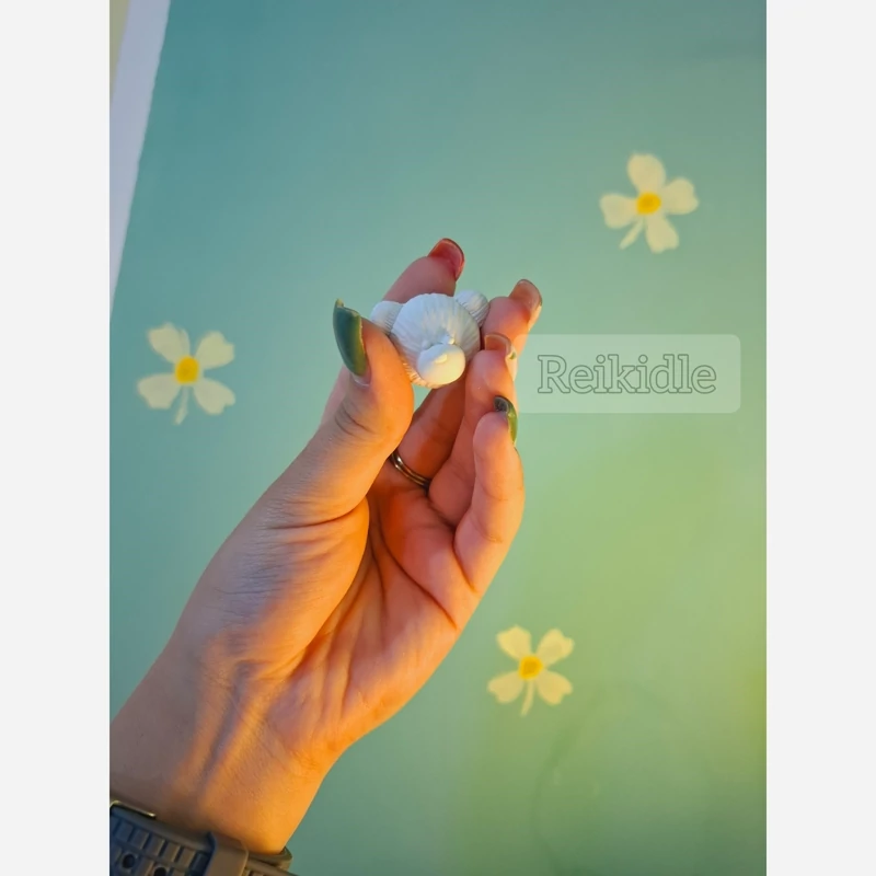 قالب سر تدی ست 4 عددی قالب سر تدی 4 تایی