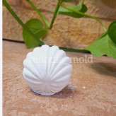 قالب سیلیکونی صدف مرواریدی کوچک قالب صدف مرواریدی