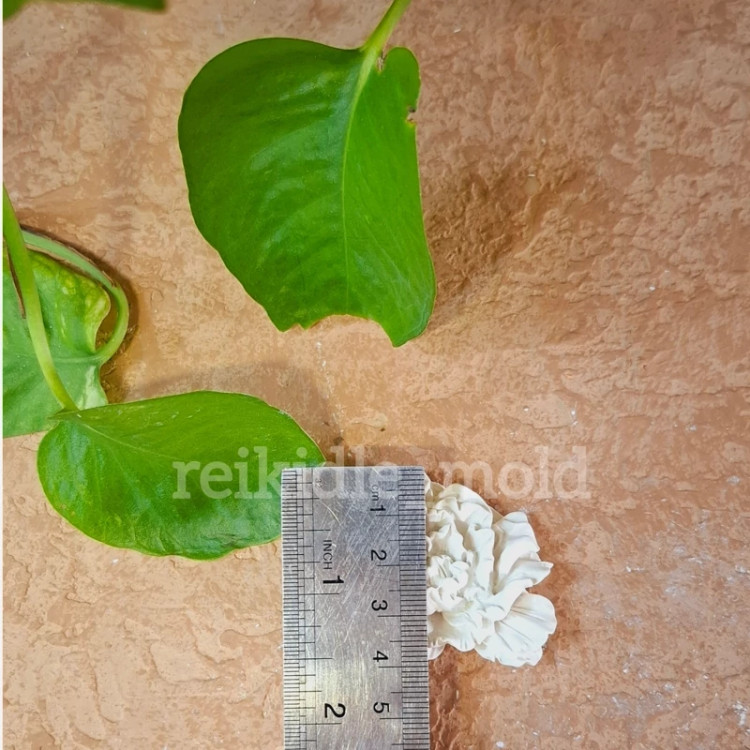 قالب سیلیکونی گل پشت تخت قالب سیلیکونی گل