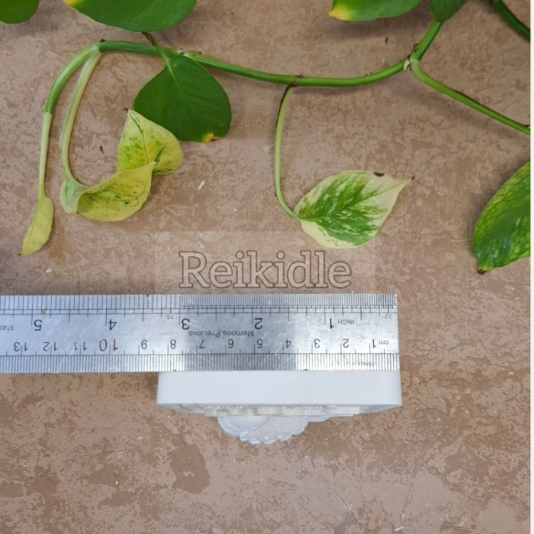 قالب سیلیکونی یا حسین و مرغ آمین قالب یا حسین