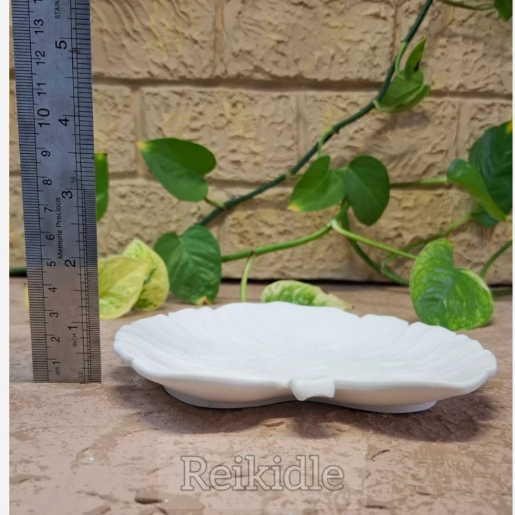 قالب سیلیکونی بشقاب برگ مناسب شیرینی خوری و میوه خوری قالب بشقاب برگ