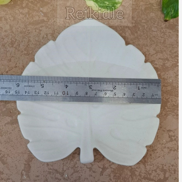 قالب سیلیکونی بشقاب برگ مناسب شیرینی خوری و میوه خوری قالب بشقاب برگ