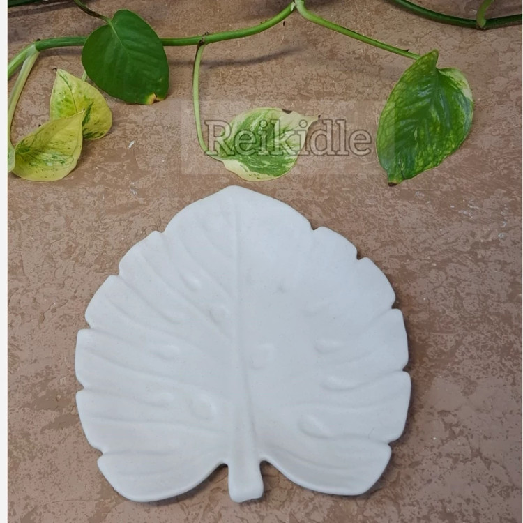 قالب سیلیکونی بشقاب برگ مناسب شیرینی خوری و میوه خوری قالب بشقاب برگ
