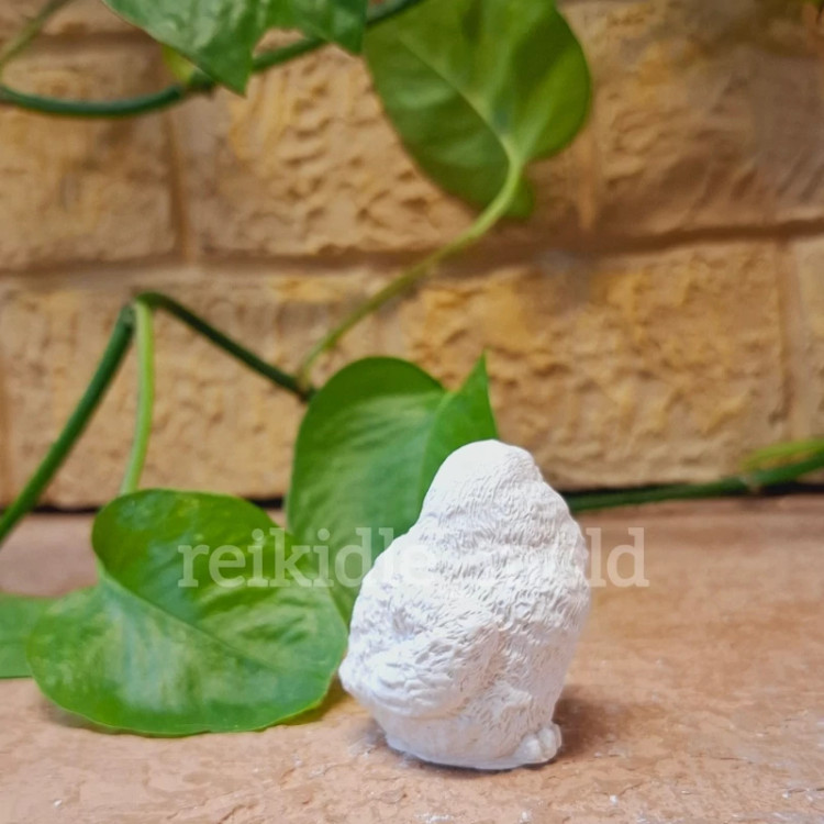 قالب سیلیکونی گنجشک قالب گنجشک 1