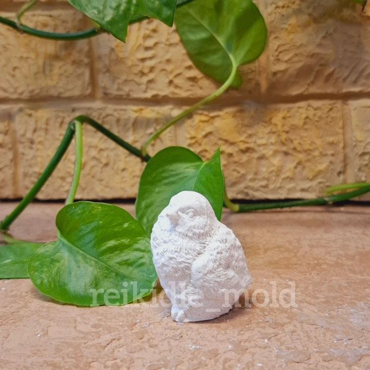 قالب سیلیکونی گنجشک قالب گنجشک 1
