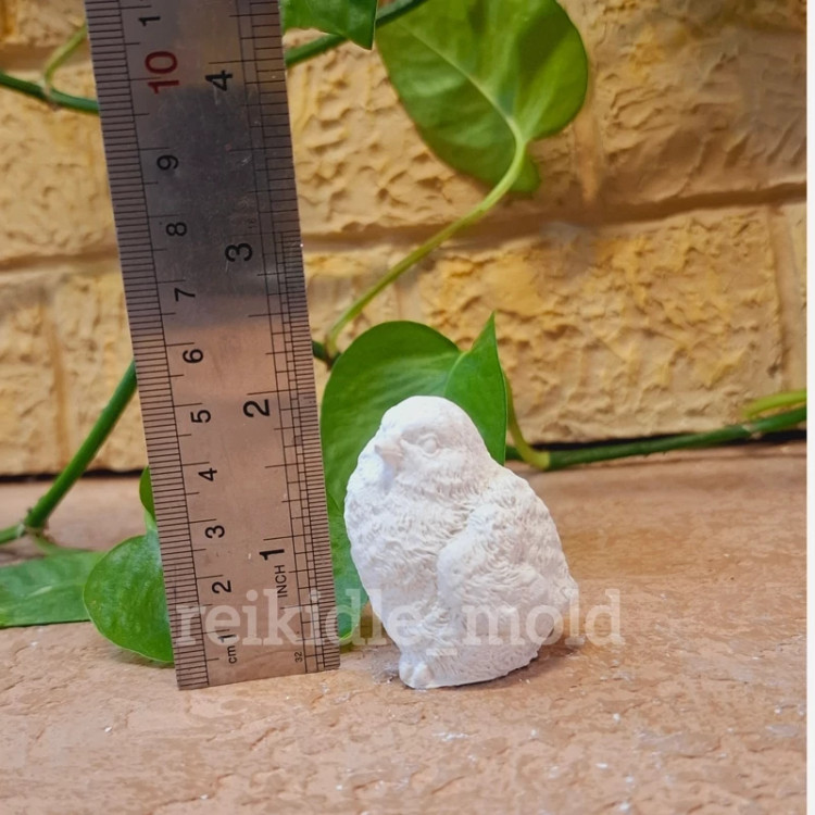 قالب سیلیکونی گنجشک قالب گنجشک 1