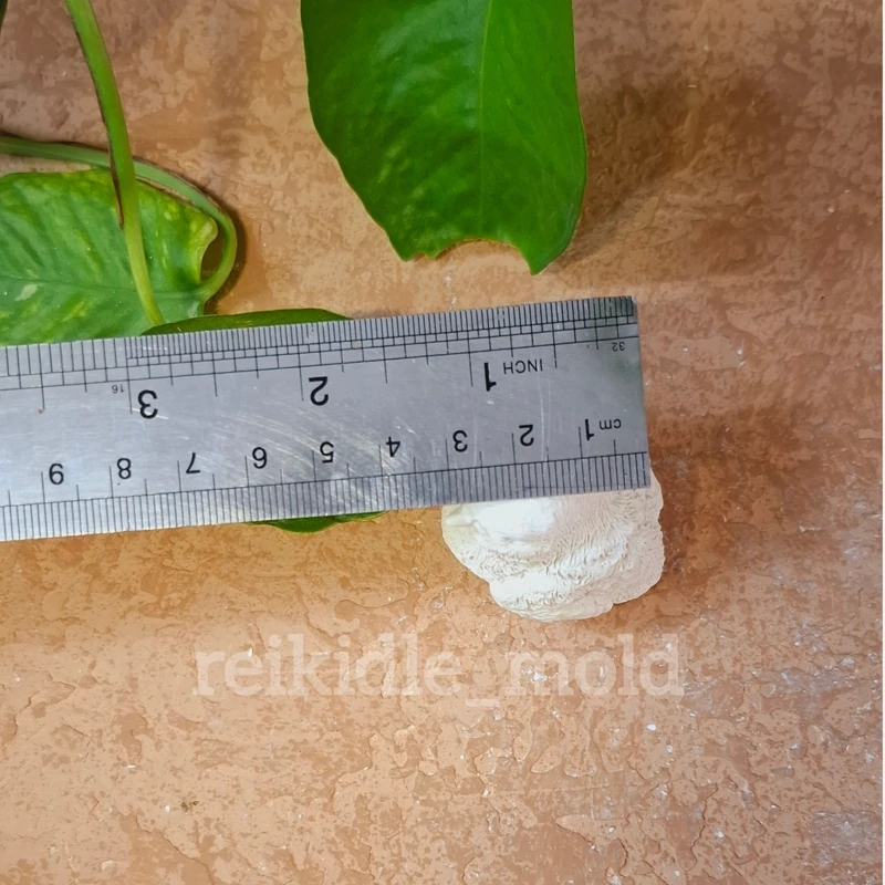 قالب سیلیکونی گنجشک قالب گنجشک 1
