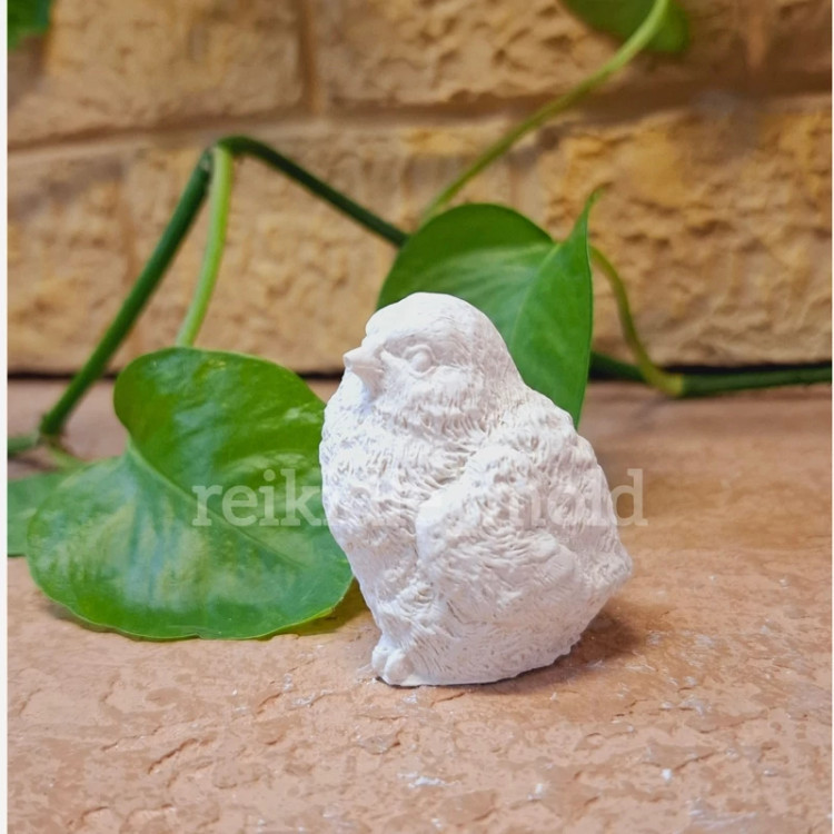 قالب سیلیکونی گنجشک قالب گنجشک 1