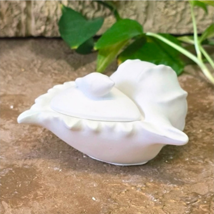قالب قوطی گوش ماهی قالب سیلیکونی قوطی گوش ماهی
