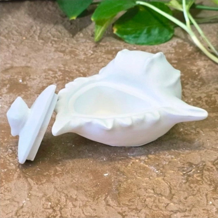قالب قوطی گوش ماهی قالب سیلیکونی قوطی گوش ماهی