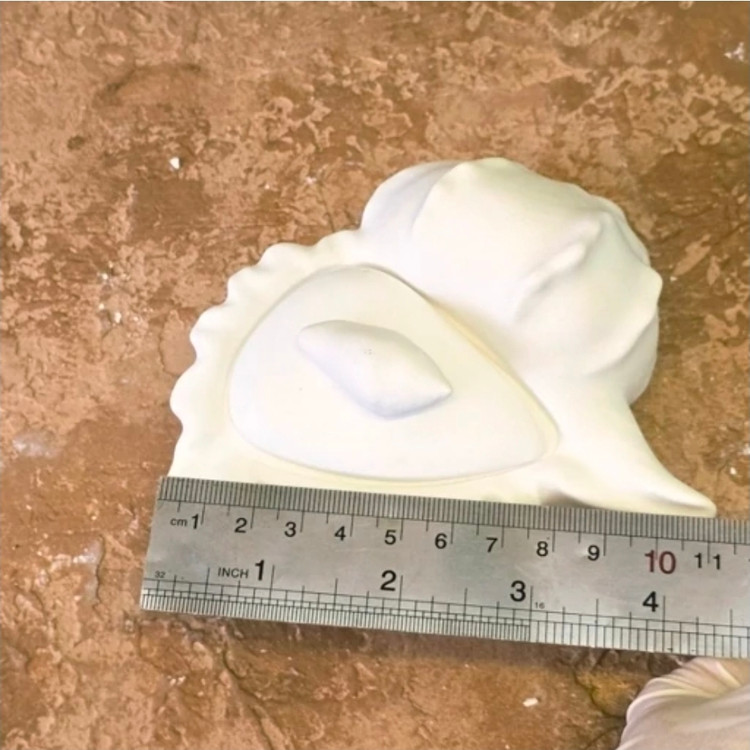 قالب قوطی گوش ماهی قالب سیلیکونی قوطی گوش ماهی