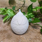 قالب سیلیکونی بانکه لیمو درب دار