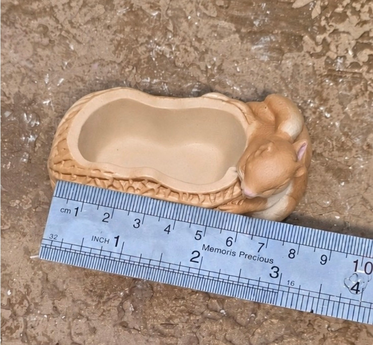قالب سیلیکونی شات سنجاب و بادام زمینی قالب شات سنجاب